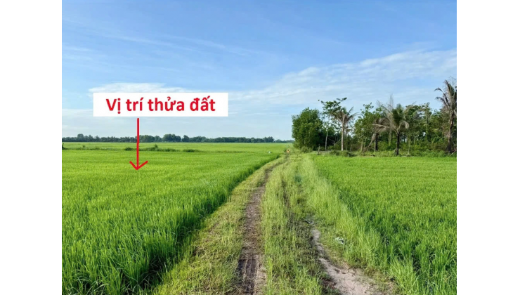 BÁN ĐẤT CHÍNH CHỦ KHÔNG QUA MÔI GIỚI, CẦN RA GẤP GIÁ TỐT